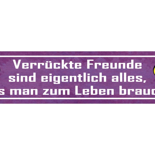 Schild Verrückte Freunde Alles Was Man Zum Leben Braucht 46 x 10 Blech od. Holz