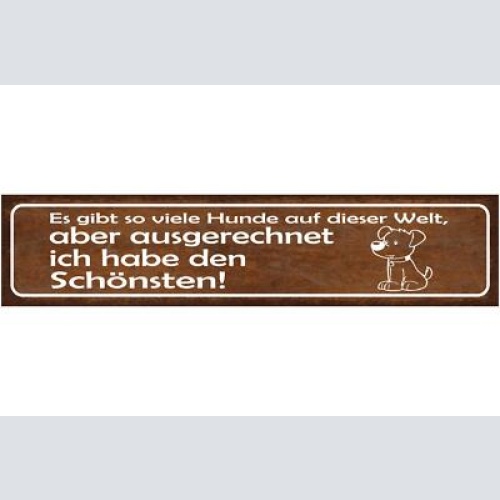 Schild es gibt viele hunde auf dieser welt aber ich habe den schönsten 46 x 10