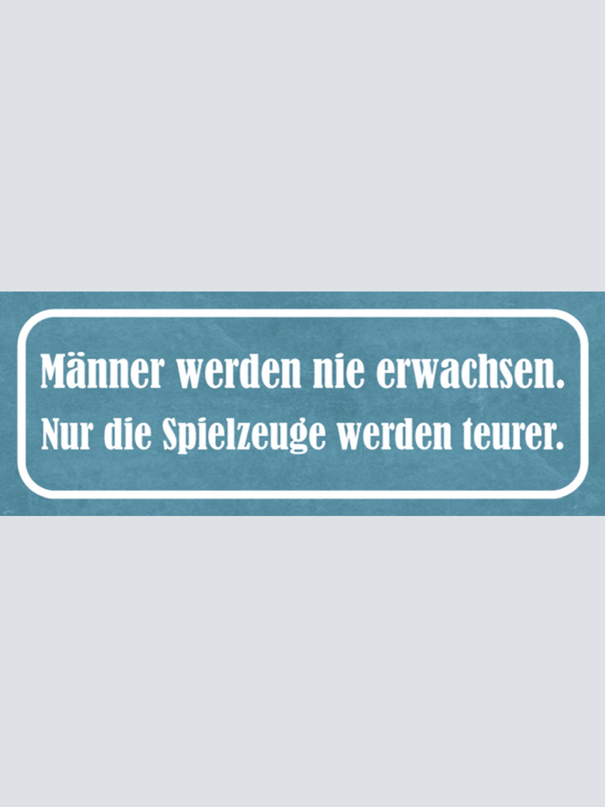 Schild Männer Werden Nie Erwachsen Nur Die Spielsachen Werden Teurer 27x10