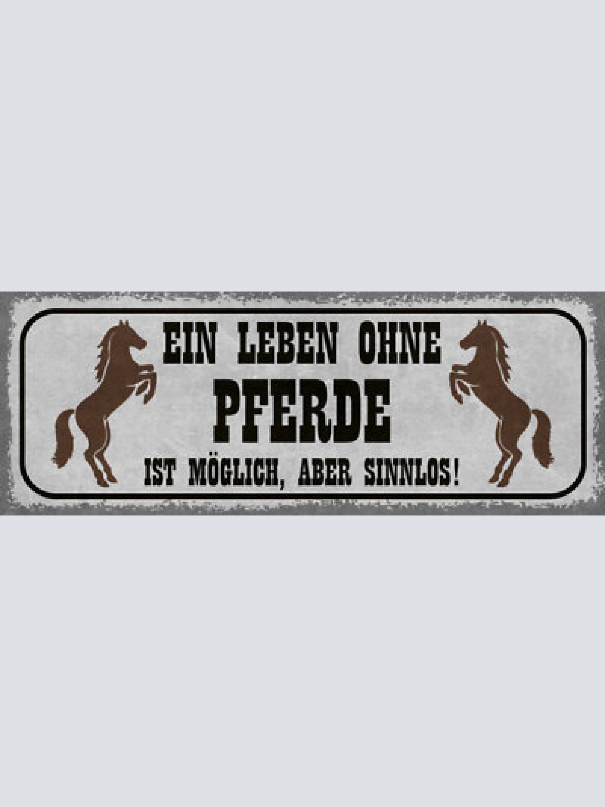 Schild ein leben ohne pferde ist möglich aber sinnlos reiten 27x10 blech od.holz