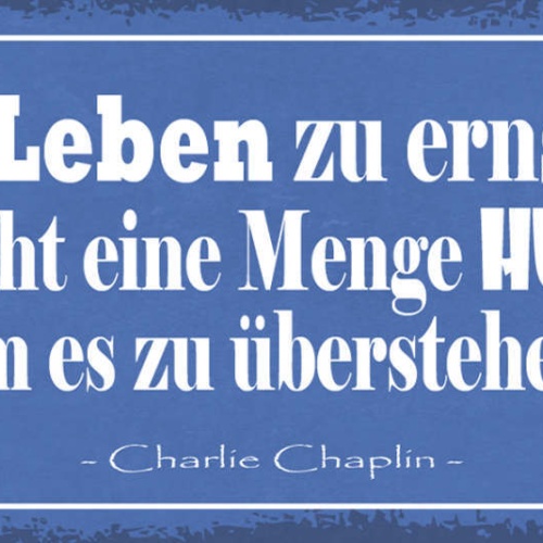 Schild Wer Das Leben Zu Ernst Nimmt Braucht Eine Menge Humor Um Es Zu Überstehen