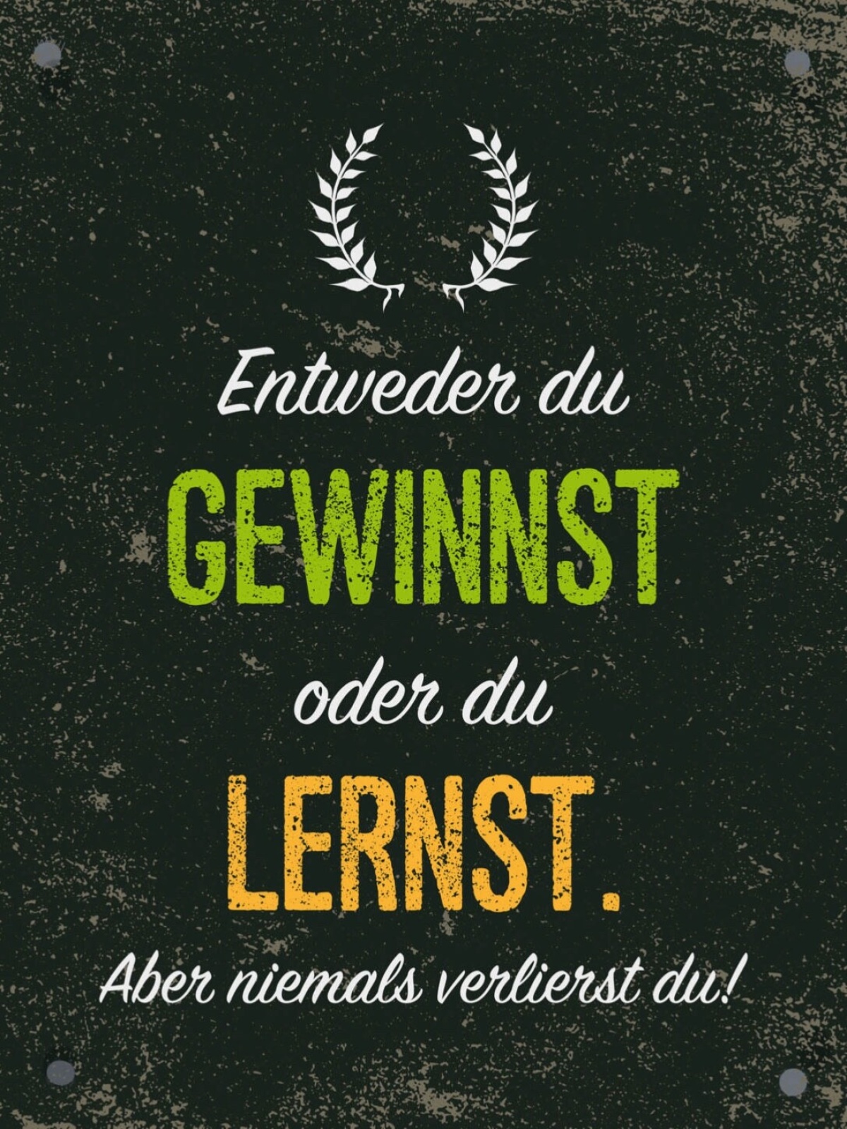 Schild Entweder Du Gewinnst Oder Du Lernst 12x18 20x30 30x40 Blech/Holz