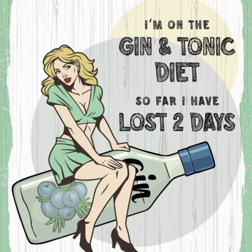 Schild I'm On The Gin & Tonic Diet 2 Days Alkohol 12x18 20x30 30x40 Blech/Holz