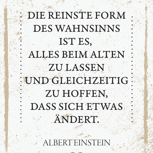 Schild Form Wahnsinn Alles Beim Alten Einstein 12x18 20x30 30x40 Blech/Holz