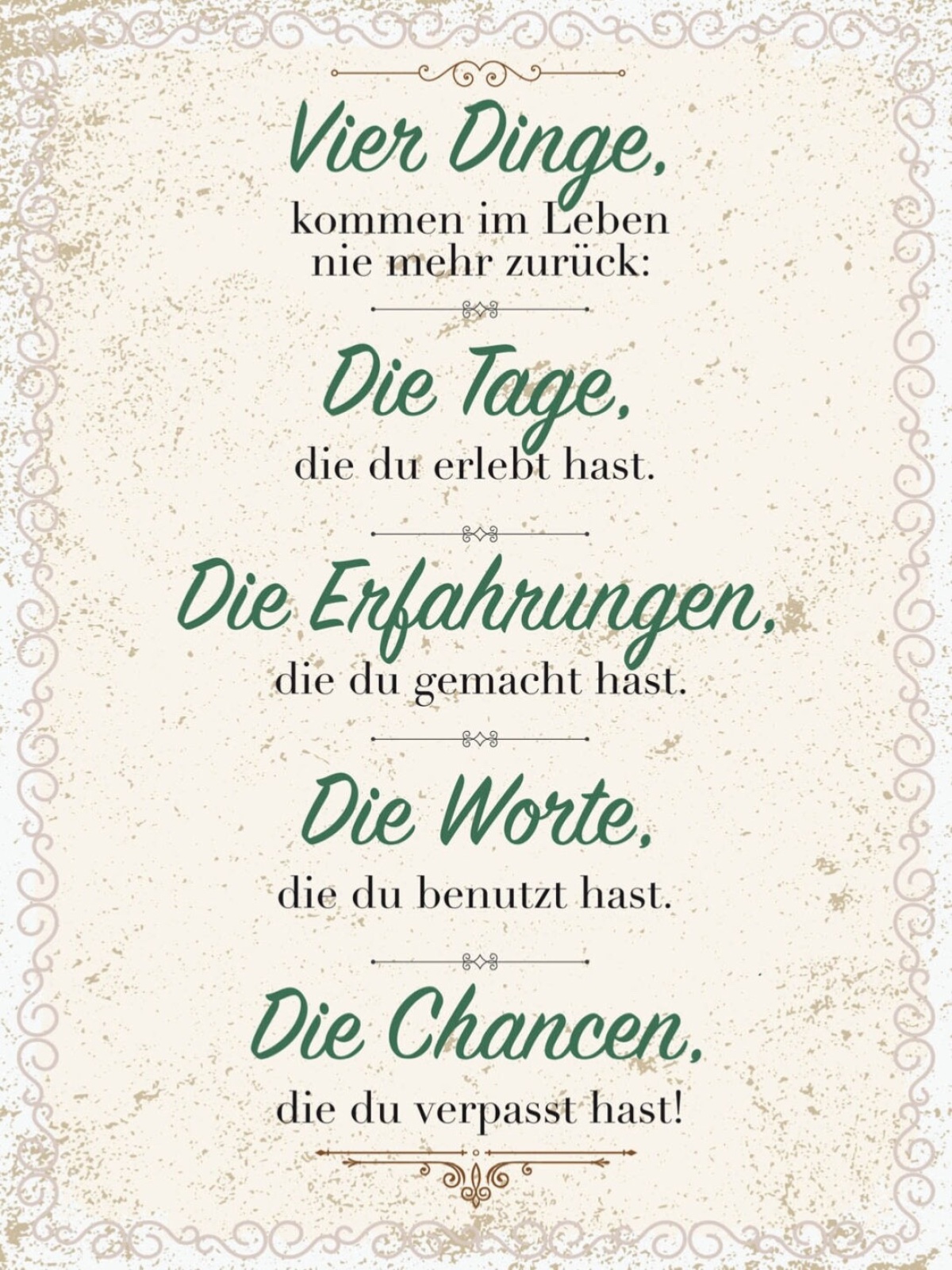 Schild 4 Dinge Kommen Im Leben Nicht Zurück Tage 12x18 20x30 30x40 Blech/Holz