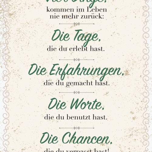 Schild 4 Dinge Kommen Im Leben Nicht Zurück Tage 12x18 20x30 30x40 Blech/Holz