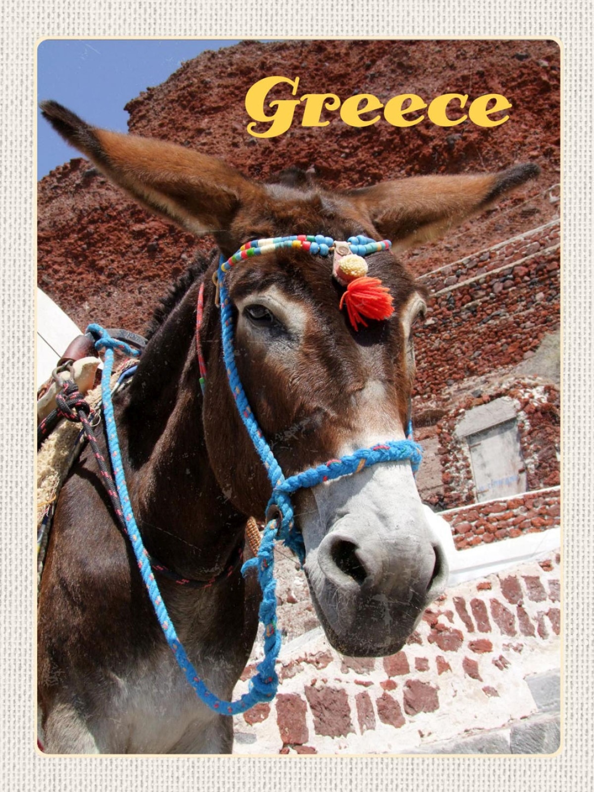 Schild Greece Griechenland Esel Porträt Gebäude 12x18 20x30 30x40 Blech/Holz