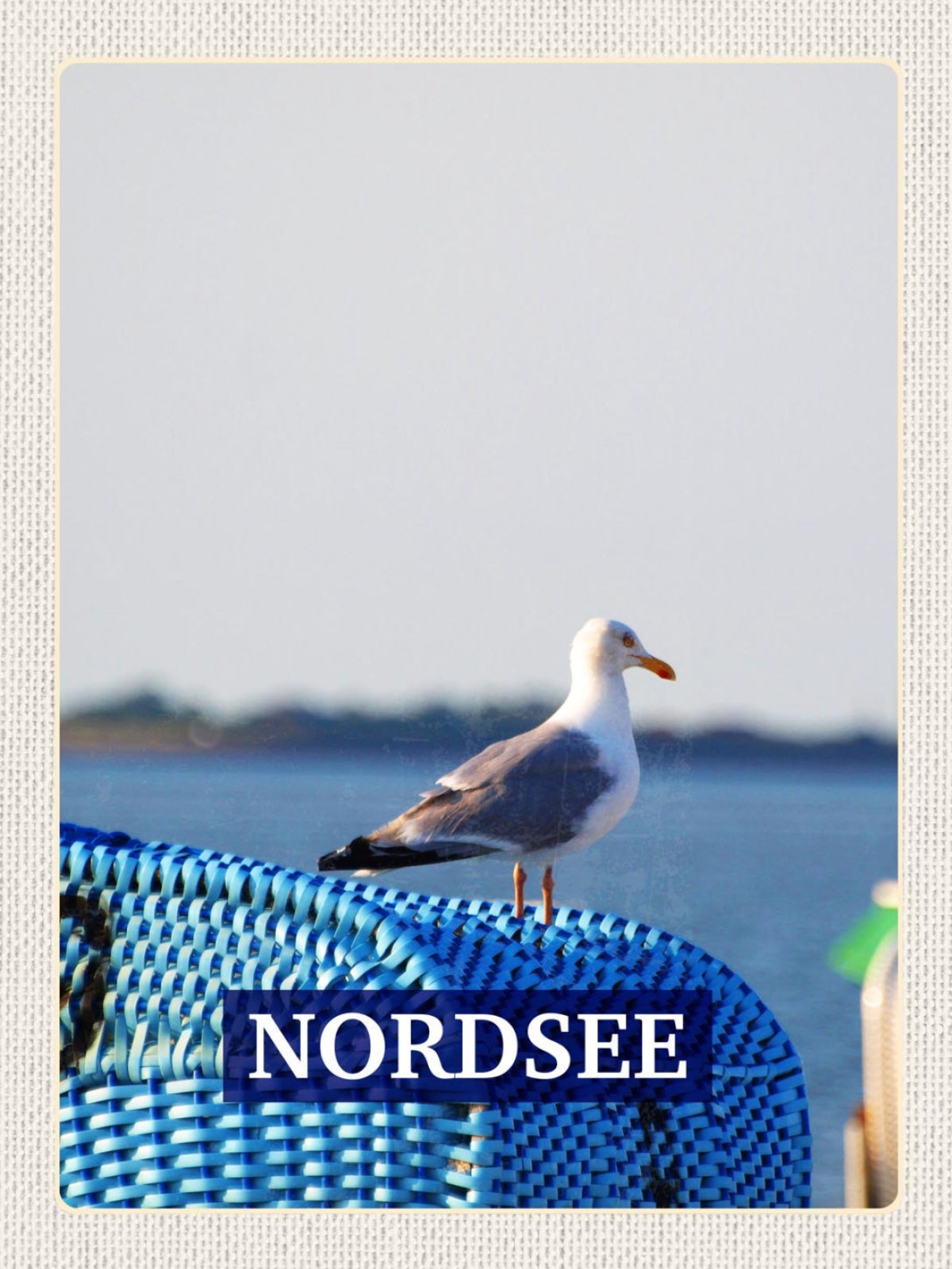 Schild Nordsee Küste Strand Möwe Vogel Meer D EU 12x18 20x30 30x40 Blech/Holz