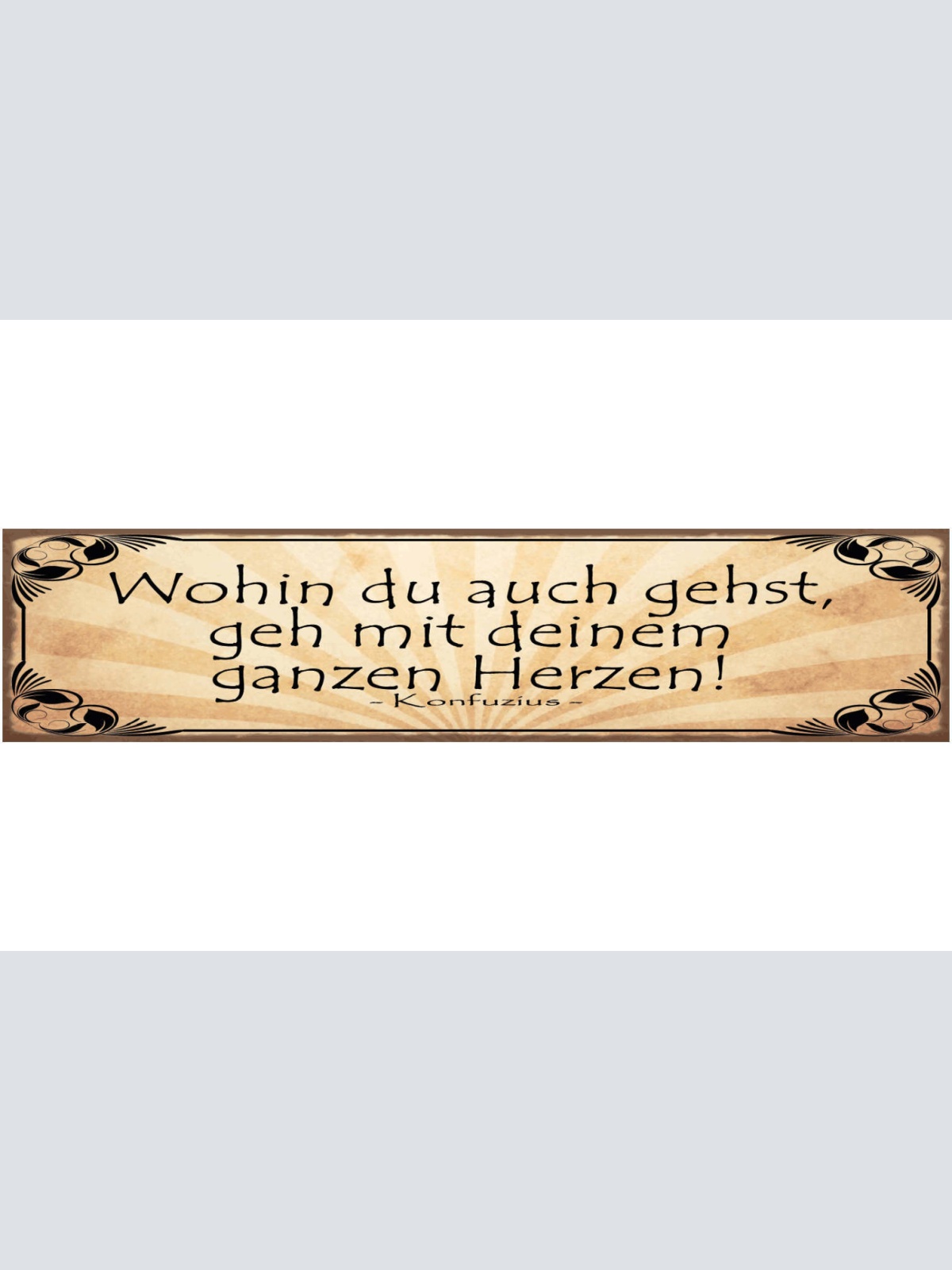 Schild Wohin Du Auch Gehst Geh Mit Deinem Ganzen Herzen Konfuzius 46 x 10