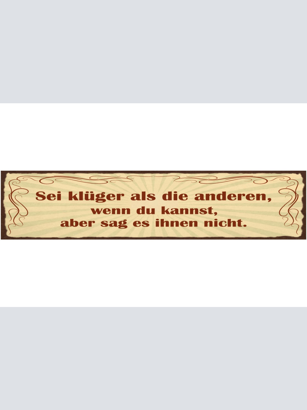 Schild Sei Klüger Als Die Anderen Wenn Du Kannst Aber Sag Es Ihnen Nicht 46 x 10