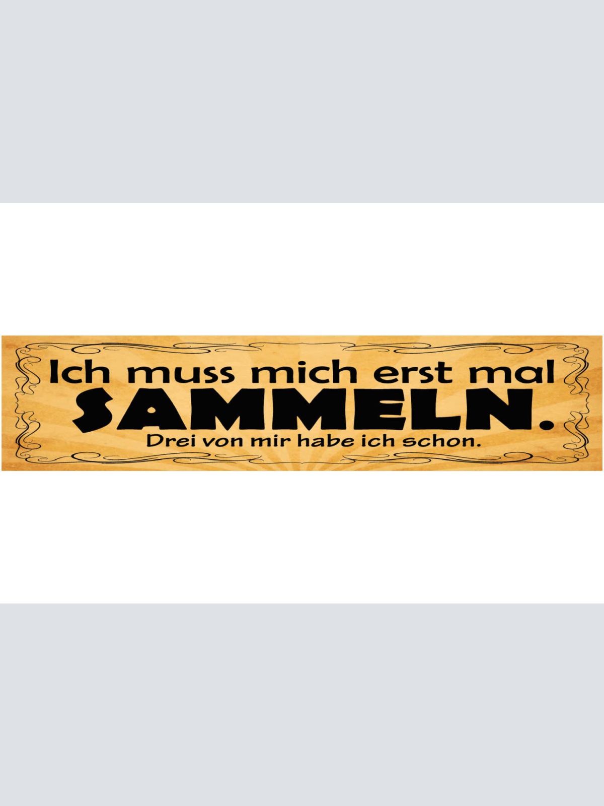 Schild Ich Muss Mich Erst Mal Sammeln Drei Von Mir Hab Ich Schon 46 x 10