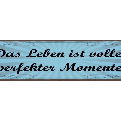 Schild Das Leben Ist Voller Perfekter Momente 46 x 10 Blech od. Holz