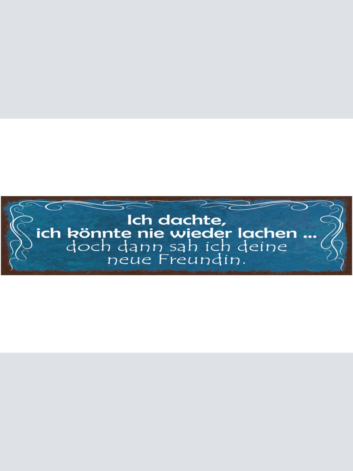 Schild Ich Dachte Ich Könnte Nie Wieder Lachen Doch Dann Sah Ich Deine Freundin