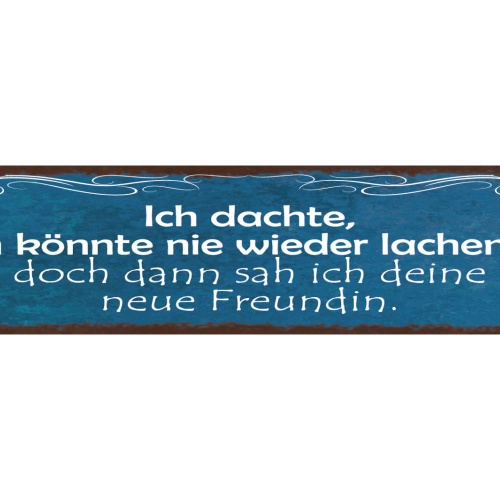 Schild Ich Dachte Ich Könnte Nie Wieder Lachen Doch Dann Sah Ich Deine Freundin
