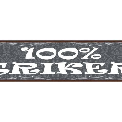 Schild 100% Trinker Alkohol Bier Trinken Betrunken Lokal 46 x 10 Blech od. Holz