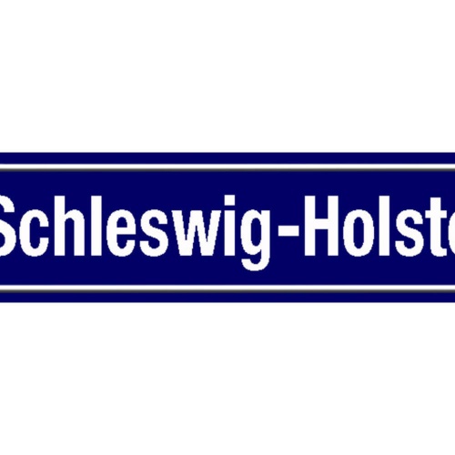 Schild Schleswig Holstein Deutschland Ort Straße Platz 46 x 10 Blech od. Holz