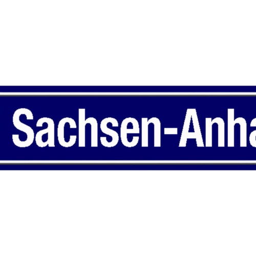 Schild Sachsen Anhalt Deutschland Ort Straße Platz 46 x 10 Blech od. Holz