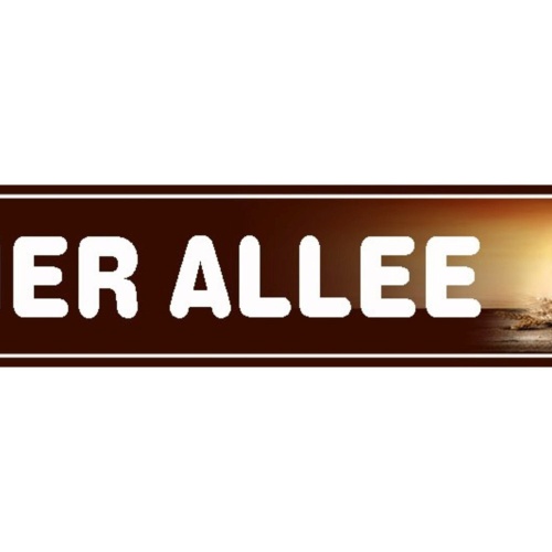 Schild Bier Allee Alkohol Glas Lokal Wirt Bar Straße 46 x 10 Blech od. Holz