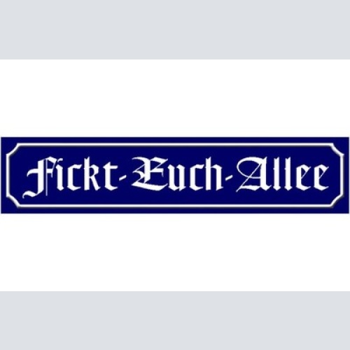 Schild Fickt Euch Allee Schimpfen Fluchen Ort Straße Platz 46 x 10 Blech od.Holz