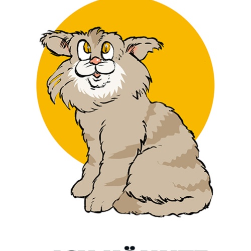 Schild Spruch Ich bin so süß Ich könnte Zucker pupsen Katze JW