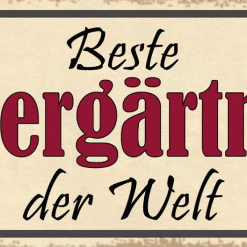 Schild Beste Kindergärtnerin Der Welt Kinder Erzieherin 27x10 Blech od.Holz