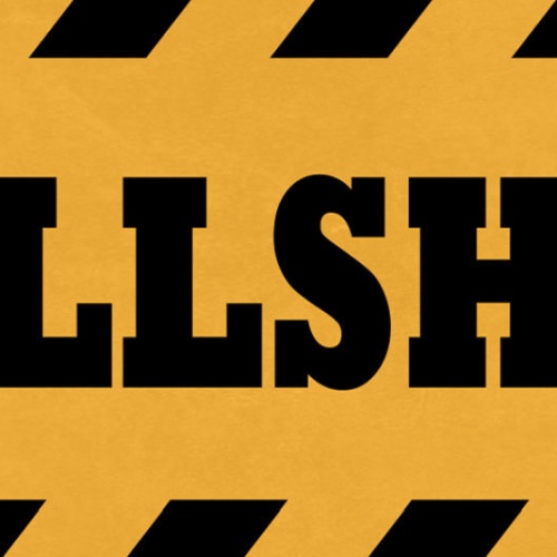 Schild Bullshit Mist Blödsinn Schwachsinn Quatsch Fluchen 27x10 Blech od.Holz