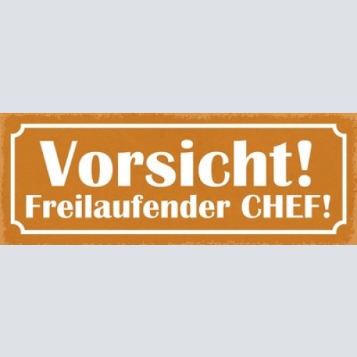 Schild Vorsicht Freilaufender Chef Arbeit Mitarbeiter Firma 27x10 Blech od.Holz