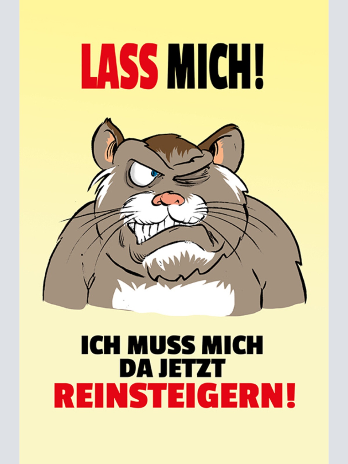 Schild Spruch Lass mich Ich muss mich da jetzt reinsteigern Katze Wut JW