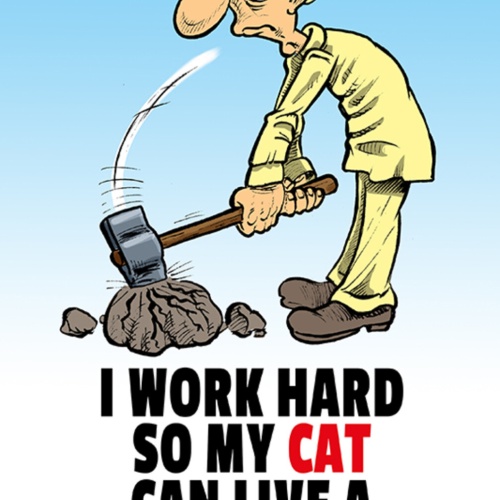 Schild Spruch I work hard so my cat can live a better life Arbeit für die KatzJW