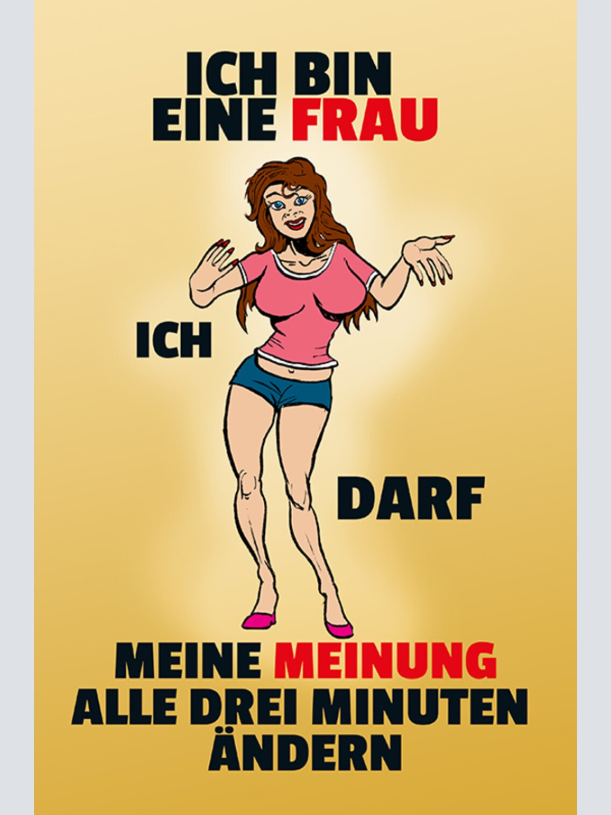 Schild Spruch Ich bin eine Frau Ich darf meine Meinung alle 3 Minuten ändern JW