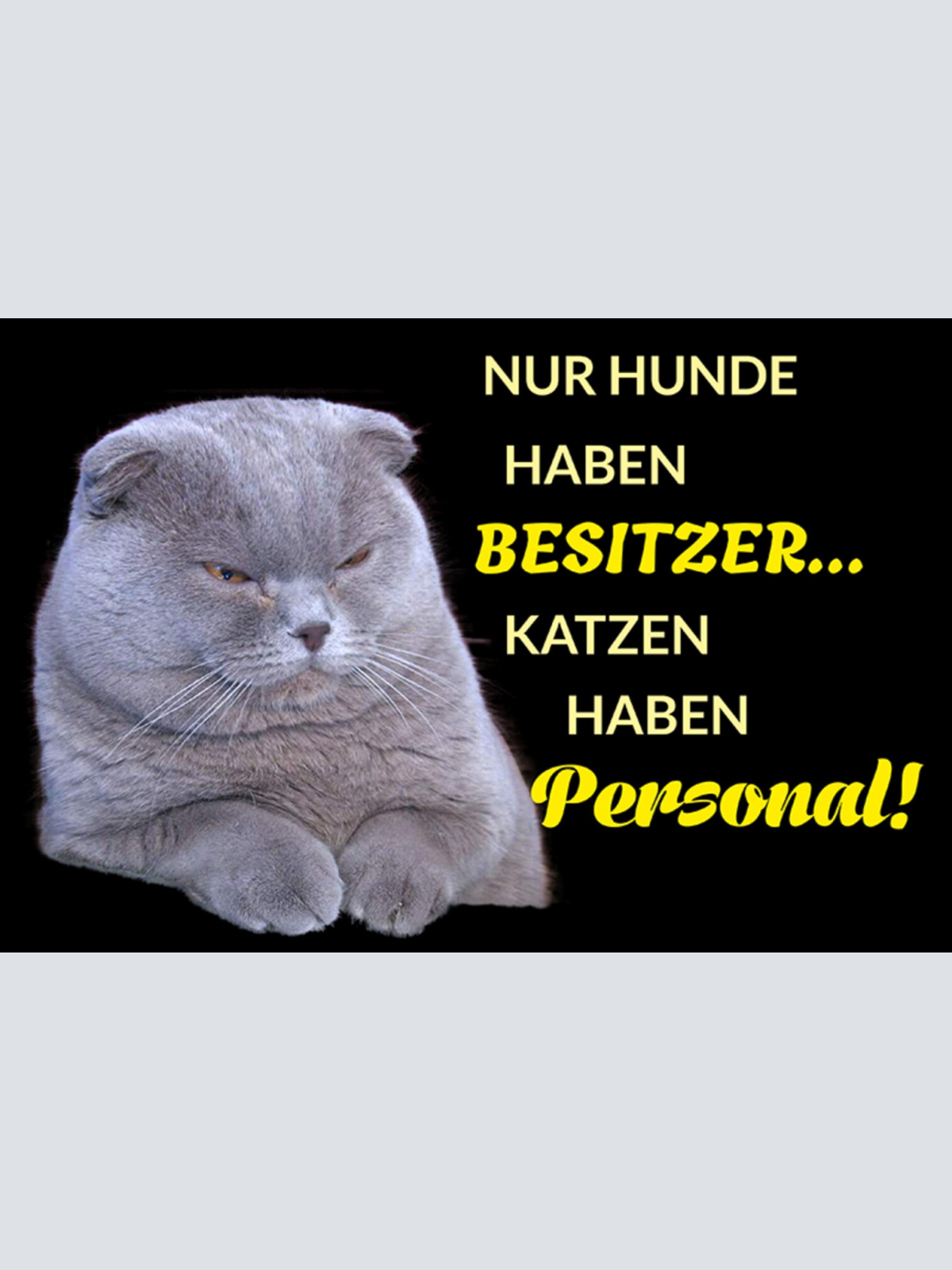 Schild Spruch Nur Hunde haben Besitzer Katzen haben Personal JW