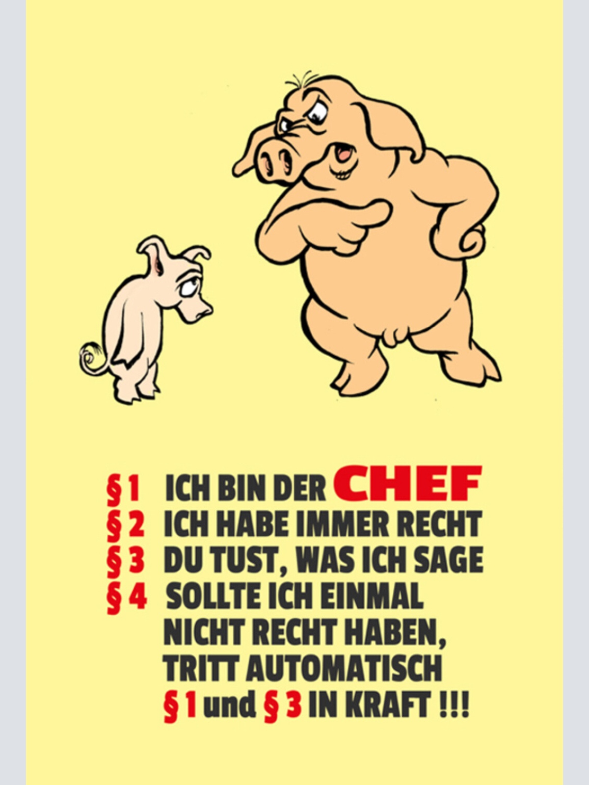 Schild Spruch Regeln §1Ich bin der CHEF §2 Ich habe immer recht §3 Du tust JW