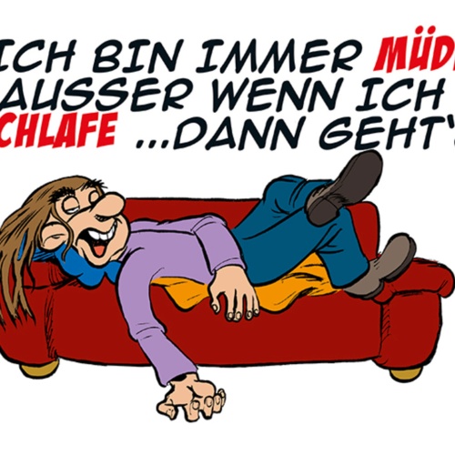 Schild Spruch Ich bin immer müde Außer wenn ich schlafe Dann geht's JW