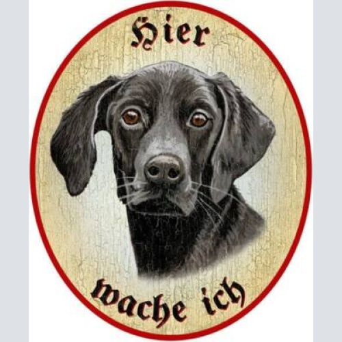 Kuk nostalgie holzschild "hier wache ich" deutsch kurzhaar hund