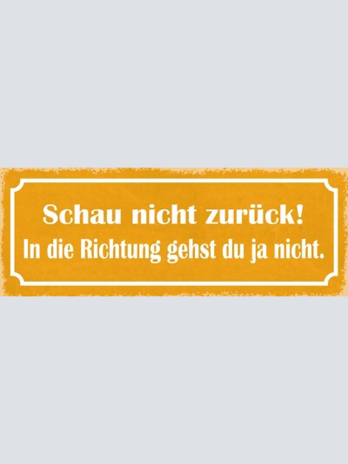 Schild schau nicht zurück in die richtung gehst du ja nicht 27x10 blech od.holz