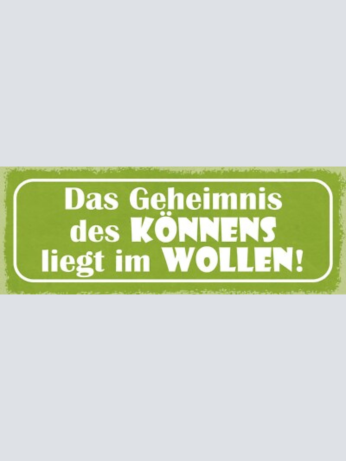Schild das geheimnis des könnens liegt im wollen möchten 27x10 blech od.holz