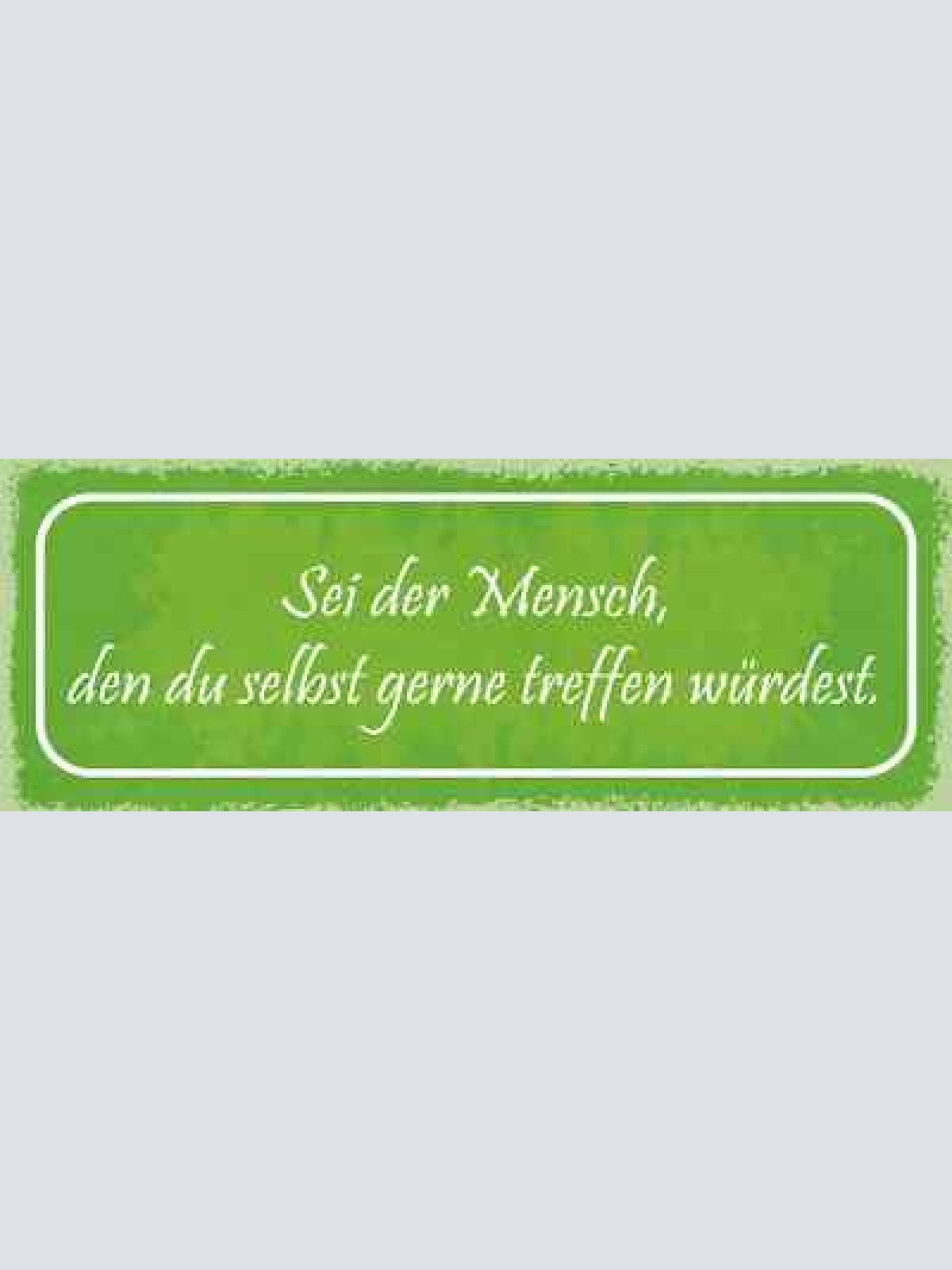 Schild sei der mensch den du selber gerne treffen möchtest 27x10 blech od.holz