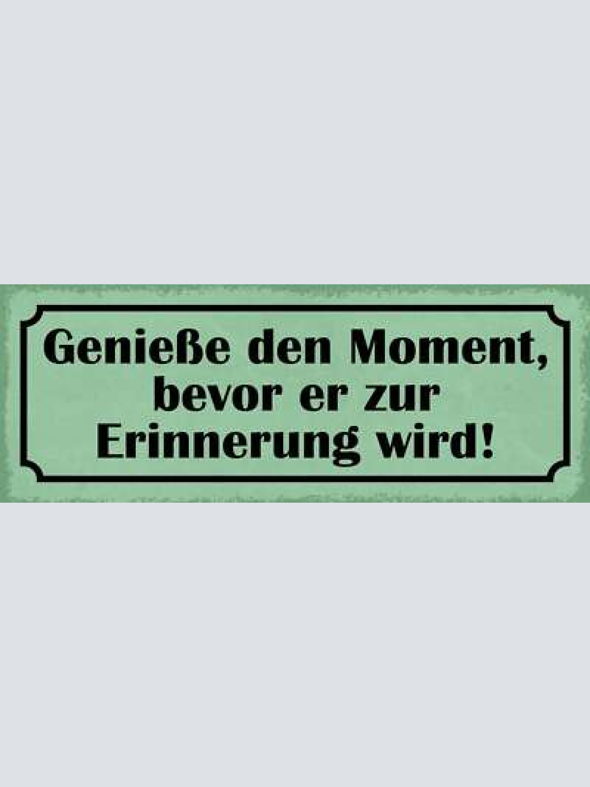 Schild genieße den moment bevor er zur erinnerung wird 27x10 blech od.holz