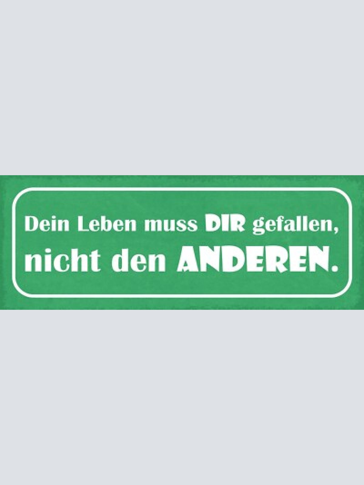 Schild dein leben muss dir gefallen nicht den anderen 27x10 blech od.holz