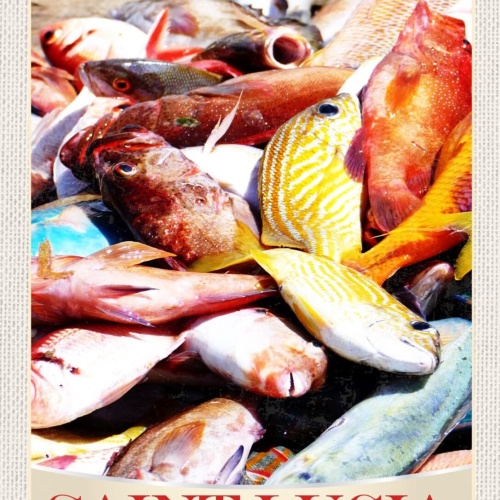 Schild Saint Lucia "Italy" West Indies Fische Insel 12x18 20x30 30x40 Blech/Holz