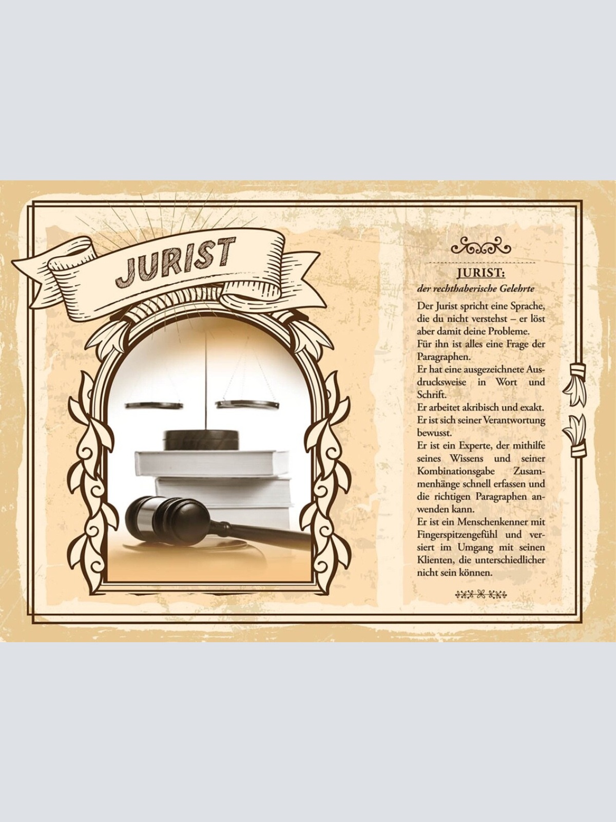 Schild Jurist Beruf Rechtswissenschaft Recht Gesetz 12x18 20x30 30x40 Blech/Holz