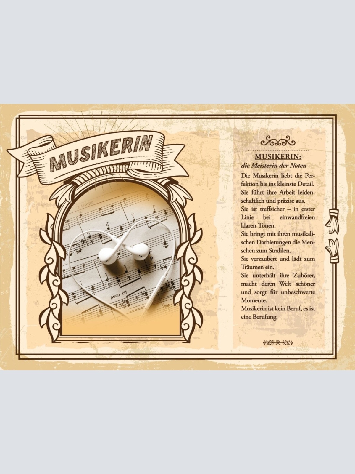 Schild Musikerin Beruf Musik Sängerin Instrument 12x18 20x30 30x40 Blech/Holz