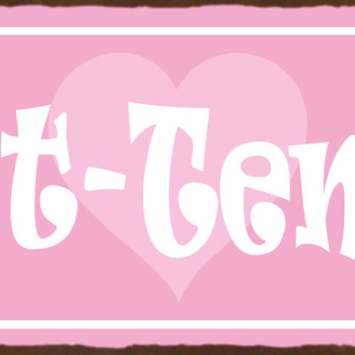 Schild Lust Tempel Liebe Erotik Romantik Schlafzimmer 27x10 Blech od.Holz