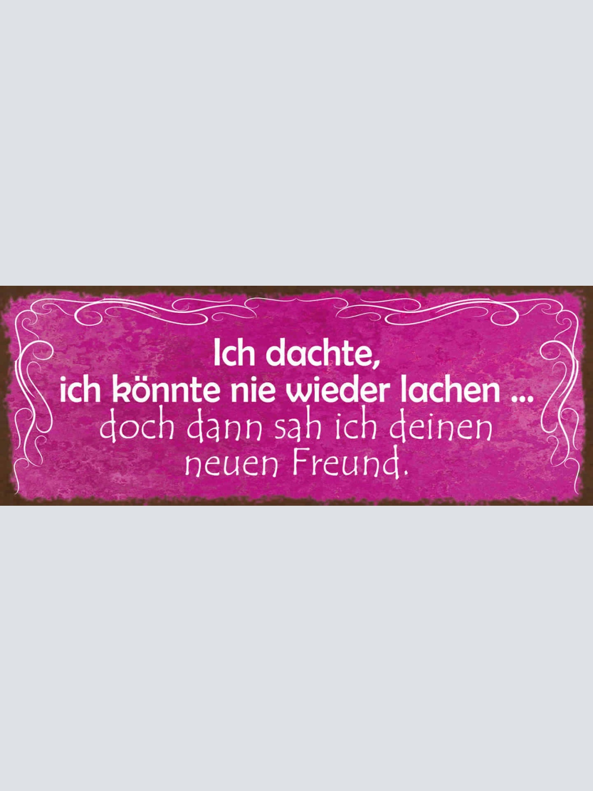 Schild Ich Dachte Ich Könnte Nie Wieder Lachen Dann Sah Ich Deinen Neuen Freund