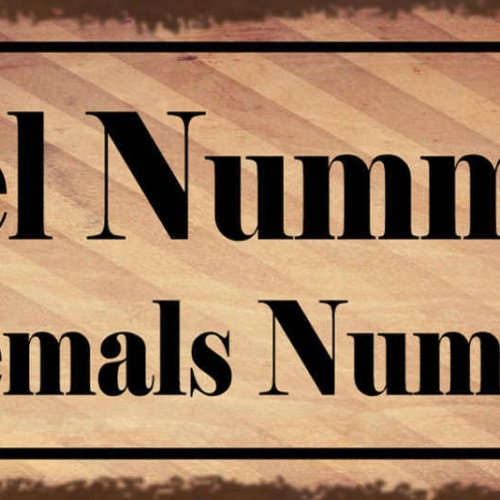 Schild Regel Nummer 1 Sei Niemals Nummer 2 Sieger Erster 27x10 Blech od.Holz