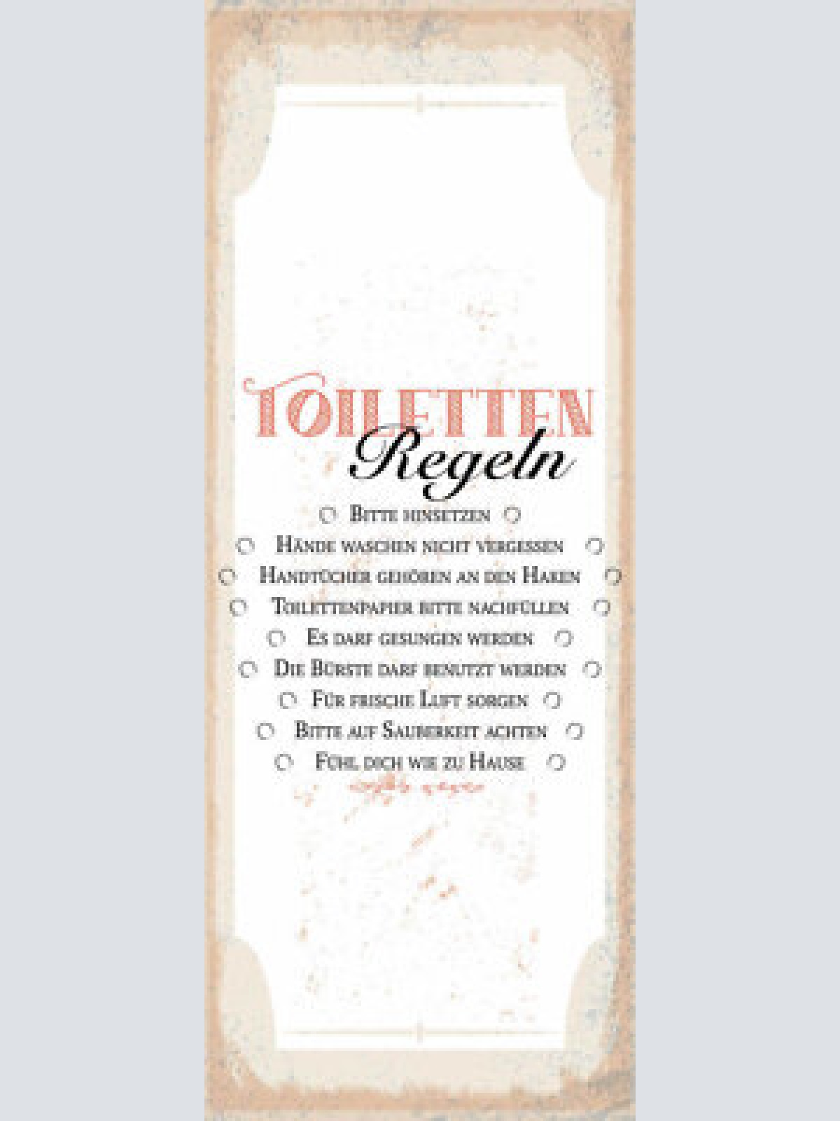 Schild toiletten regeln hinsetzen hände waschen papier bürste 27x10blech od.holz
