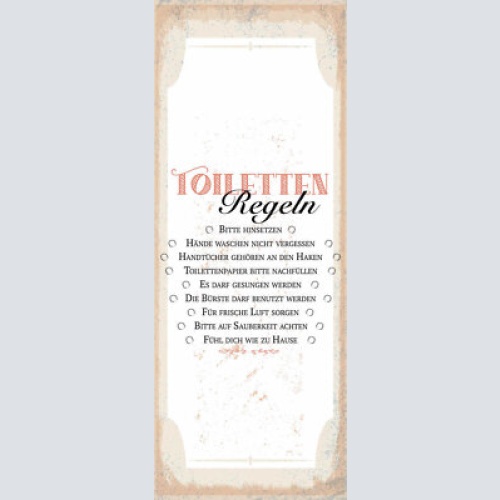 Schild toiletten regeln hinsetzen hände waschen papier bürste 27x10blech od.holz