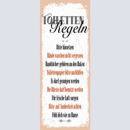 Schild toiletten regeln hinsetzen hände waschen papier bürste 27x10blech od.holz