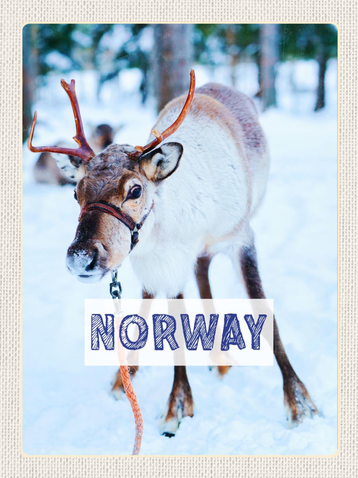 Schild Norway Norwegen Rentier Schnee Landschaft 12x18 20x30 30x40 Blech/Holz