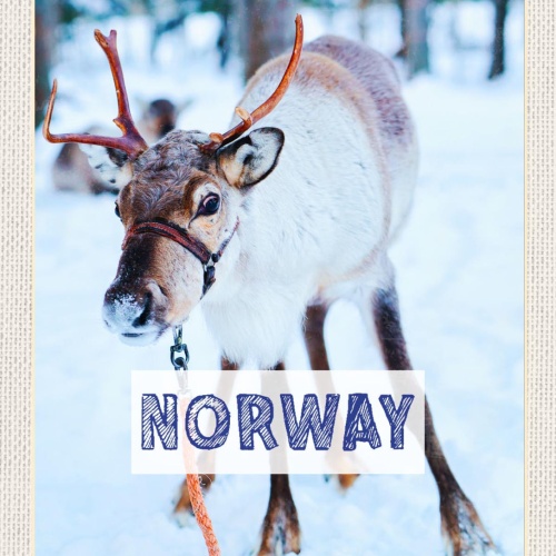 Schild Norway Norwegen Rentier Schnee Landschaft 12x18 20x30 30x40 Blech/Holz